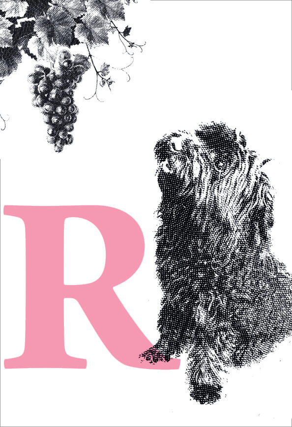 Rozé